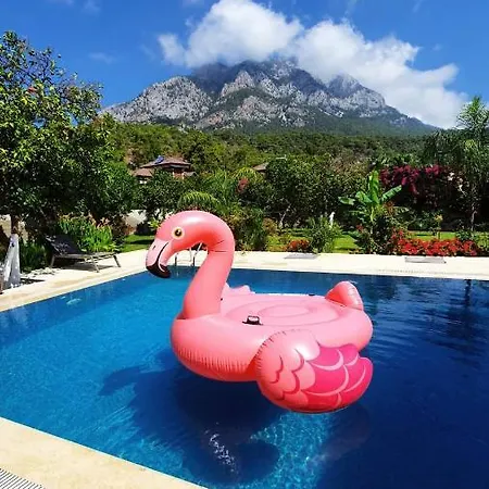 Villa Citrus Garden Kemer