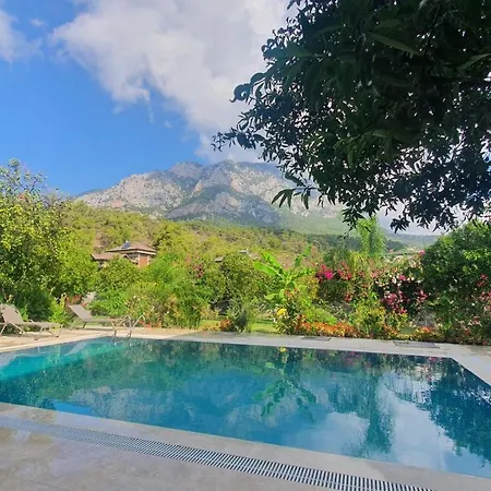 Villa Citrus Garden