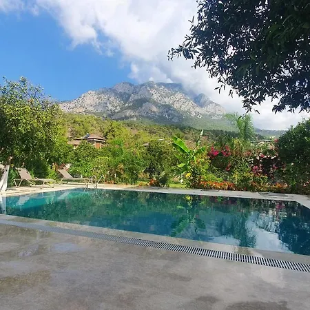 Citrus Garden