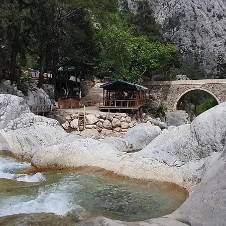 Citrus Garden Kemer